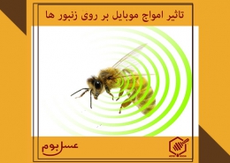 تاثیر امواج ساطع شده از موبایل بر روی زنبور ها