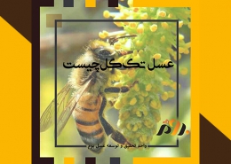 منظور از عسل تک گل چیست